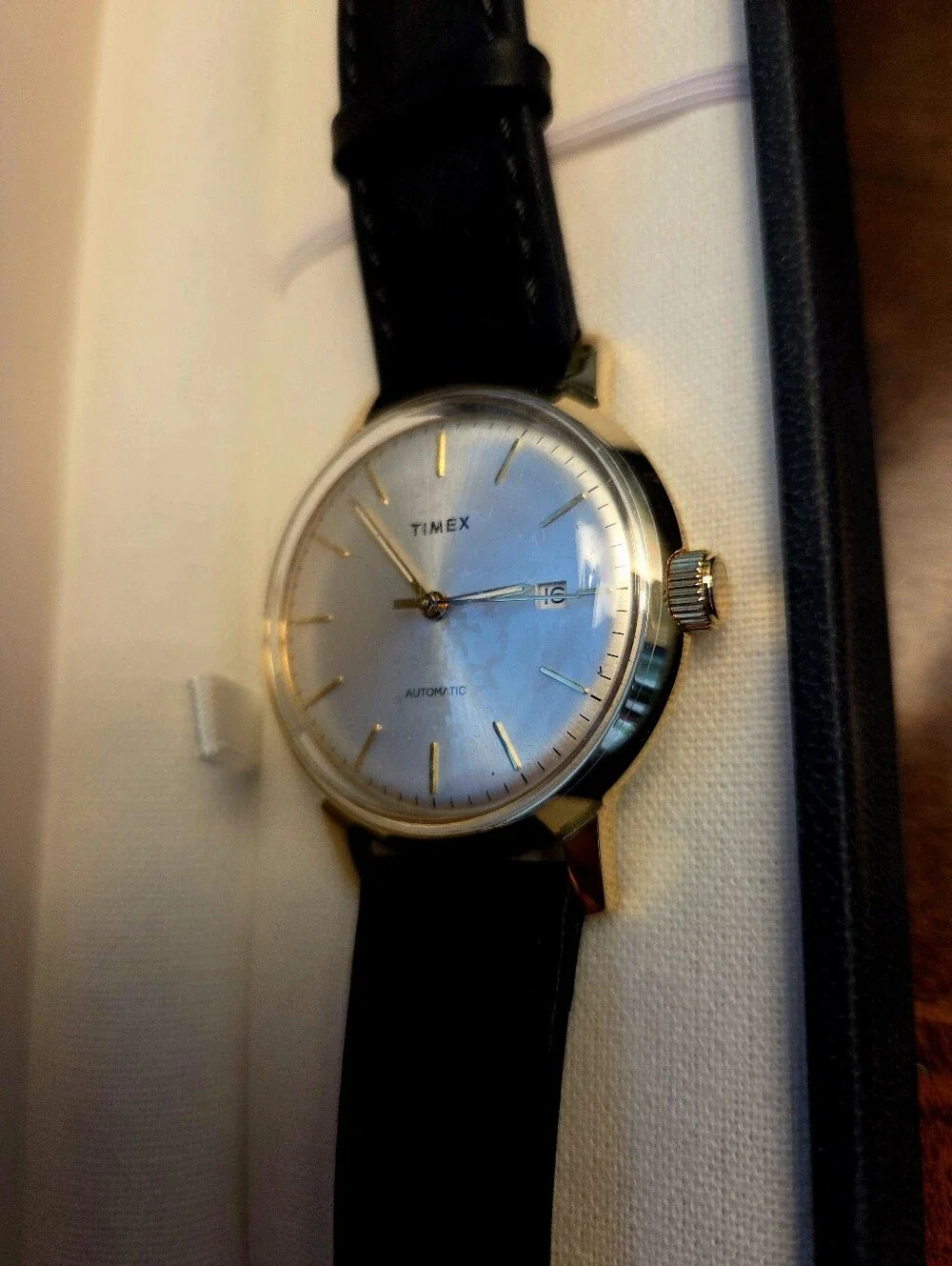 Timex Marlin Gold Case with Black Leather Strap